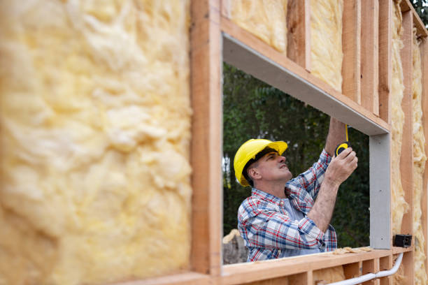 Best Blown-In Insulation  in Beaumont, TX